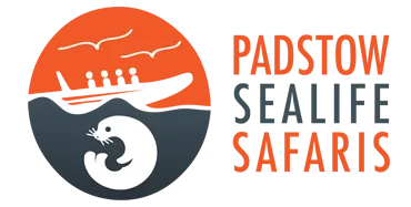 padstow sealife safari promo code